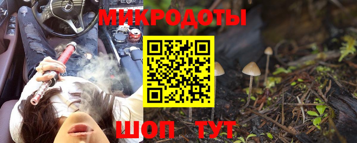 Ростов Великий  Псилоцибиновые грибы MAGIC MUSHROOMS  Вход с VPN 